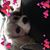 Wendy Gillon's profile image