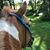 Jackie Schroeder's profile image