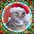 Amanda Folkestad's profile image