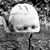 Deborah Barrett's profile image