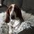 Kesia Hamachek's profile image