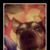 Gene Landingin's profile image