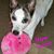 Sherri Marcus Gilbert's profile image