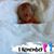 Jennifer Anderson's profile image
