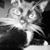 Anne Hemenway's profile image