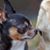 Alice Ann's profile image