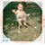 Sharon Thomas's profile image