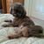 Pamela Harris's profile image
