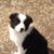 Linda Elze's profile image