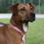 Kerri Cambre's profile image