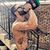 Justin Becker's profile image