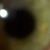Michael Christopher Shedd's profile image