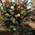 Elisabeth Hawksbee's profile image