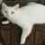 Jaclyn Marlow's profile image