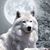 Cheryl Z Wright's profile image