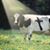 Anne Salwasser's profile image