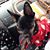Carolyn ScilliaBeams's profile image