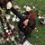 Michelle Blanchette Botelho's profile image
