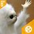 Schelly Hower's profile image