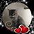 Cindi Cannon-Newton's profile image