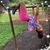 Amber N. Haynes's profile image