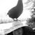 Judy Maxwell's profile image