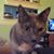 Shawna Prested's profile image