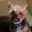 Stock Foster's profile image