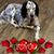 Ann Mathe's profile image