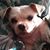 Willie Rene Guerrero's profile image