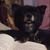 Jerri Lynn Niccum-Smith's profile image