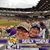 Carol Stockton Saling's profile image