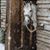 Leslee Matthes Woodyard's profile image