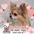 Sue Repash's profile image