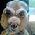 Tim Eagle's profile image