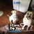 Ginger Pickren's profile image