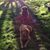 Dixie Moore's profile image