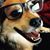 Michael McKiernan's profile image