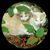 Sheila Wright's profile image