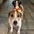 Peggy Veres's profile image