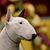 Ellie Mae's profile image