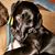 Alicia Evanson Hutchinson's profile image
