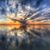 Rochelle Stallings's profile image