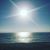 Matthew Van der Meer's profile image