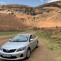 Hennie Etsebeth's profile image