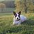 Jim Boyd's profile image