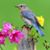 Julie Cribb's profile image
