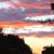 Jerry Van Dyken's profile image