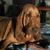 Vicki Franco's profile image