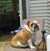 Sue Wells's profile image